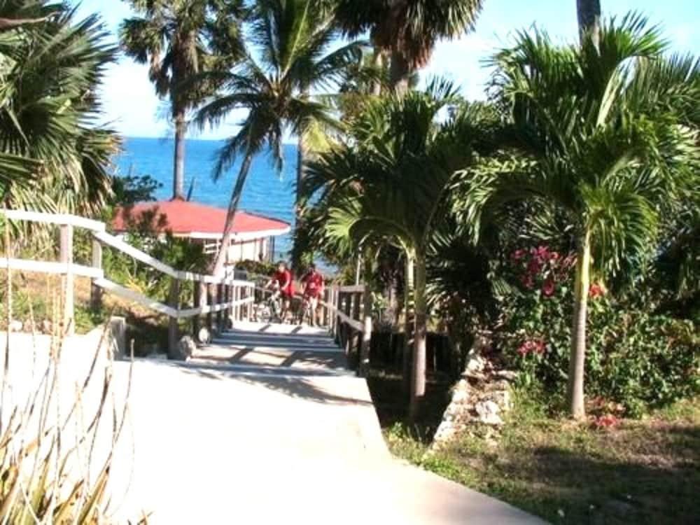 Treasure Beach Hotel 자연 사진